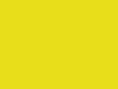 00369FluorescentYellow