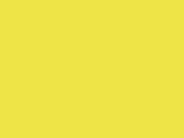 01134FluorescentYellow