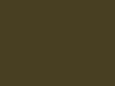 01569OliveGreen