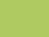 03929LimeGreen