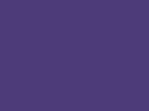 03929Purple