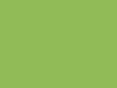 12401LimeGreen