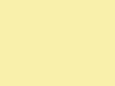 15842Yellow