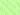 17506NeonGreen