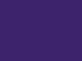 24952Purple