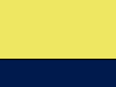 41077FluoYellowNavy