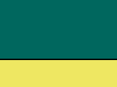 42177ParamedicGreenFluoYellow