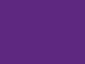 42177Purple