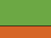 44042RealGreenNeonOrange