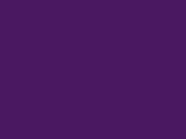 49842Purple