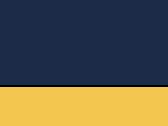 89433NavyYellow