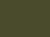 89633Olive